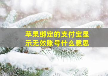 苹果绑定的支付宝显示无效账号什么意思