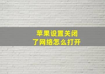 苹果设置关闭了网络怎么打开