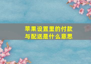 苹果设置里的付款与配送是什么意思