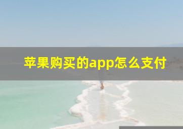 苹果购买的app怎么支付