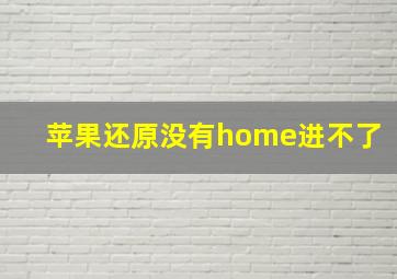 苹果还原没有home进不了