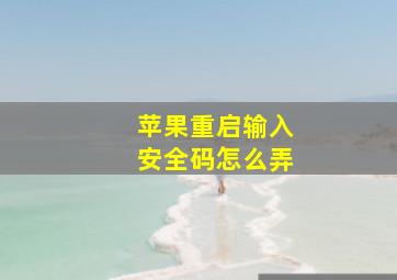 苹果重启输入安全码怎么弄