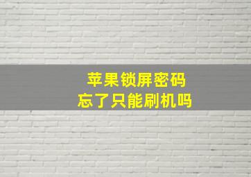 苹果锁屏密码忘了只能刷机吗