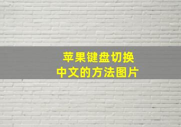 苹果键盘切换中文的方法图片