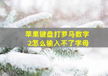 苹果键盘打罗马数字2怎么输入不了字母