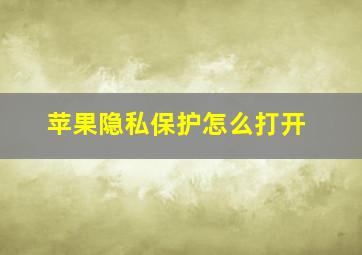 苹果隐私保护怎么打开