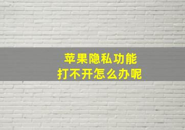 苹果隐私功能打不开怎么办呢