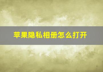 苹果隐私相册怎么打开