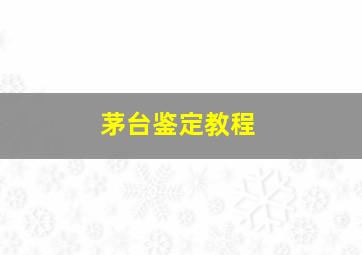 茅台鉴定教程