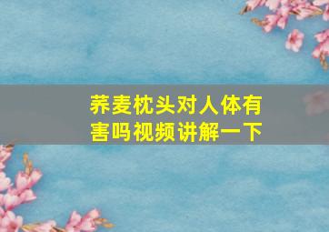 荞麦枕头对人体有害吗视频讲解一下