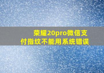 荣耀20pro微信支付指纹不能用系统错误