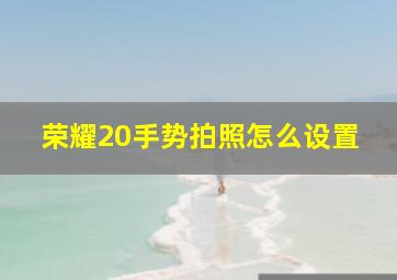 荣耀20手势拍照怎么设置