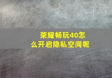 荣耀畅玩40怎么开启隐私空间呢