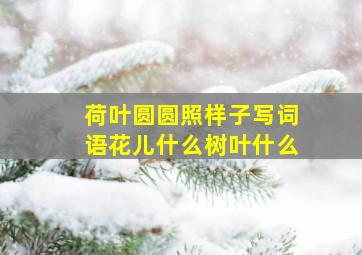 荷叶圆圆照样子写词语花儿什么树叶什么