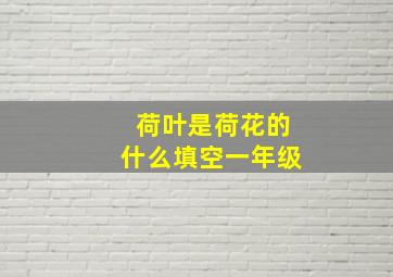 荷叶是荷花的什么填空一年级