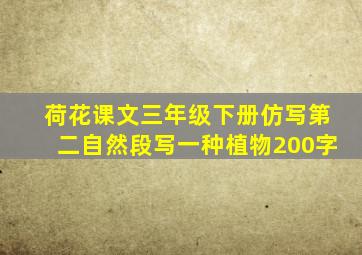 荷花课文三年级下册仿写第二自然段写一种植物200字