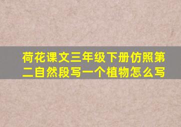 荷花课文三年级下册仿照第二自然段写一个植物怎么写