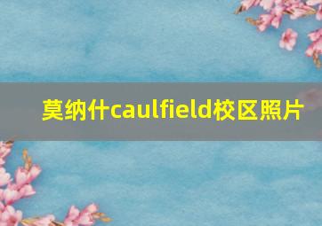 莫纳什caulfield校区照片