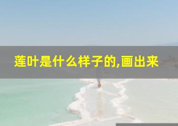 莲叶是什么样子的,画出来