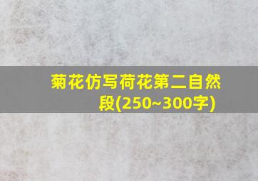 菊花仿写荷花第二自然段(250~300字)