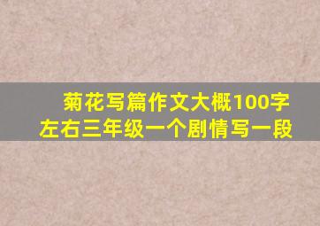 菊花写篇作文大概100字左右三年级一个剧情写一段