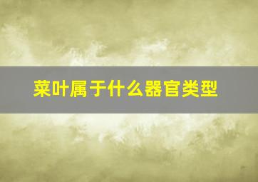 菜叶属于什么器官类型