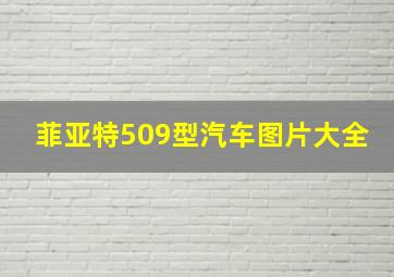 菲亚特509型汽车图片大全