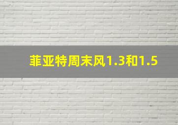 菲亚特周末风1.3和1.5