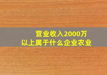 营业收入2000万以上属于什么企业农业