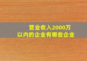 营业收入2000万以内的企业有哪些企业