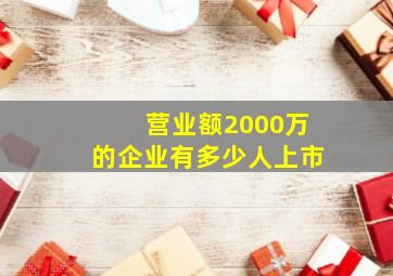 营业额2000万的企业有多少人上市