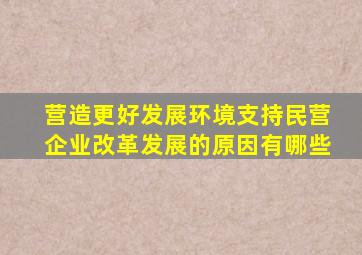 营造更好发展环境支持民营企业改革发展的原因有哪些