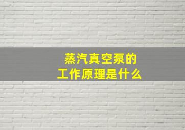 蒸汽真空泵的工作原理是什么