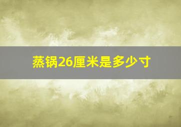 蒸锅26厘米是多少寸