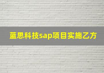 蓝思科技sap项目实施乙方