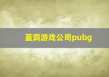 蓝洞游戏公司pubg