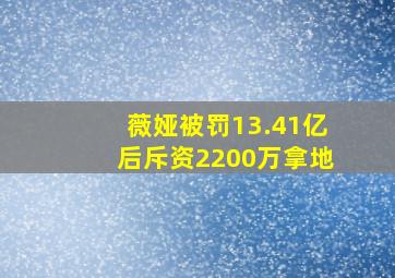 薇娅被罚13.41亿后斥资2200万拿地