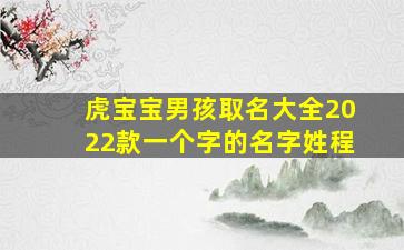 虎宝宝男孩取名大全2022款一个字的名字姓程