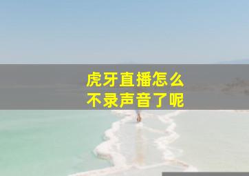 虎牙直播怎么不录声音了呢