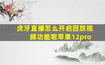 虎牙直播怎么开启回放视频功能呢苹果12pro