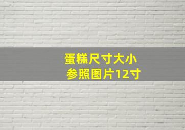 蛋糕尺寸大小参照图片12寸