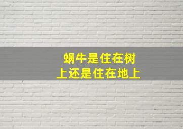 蜗牛是住在树上还是住在地上