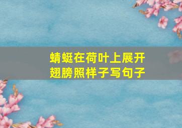 蜻蜓在荷叶上展开翅膀照样子写句子