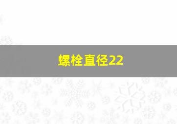 螺栓直径22