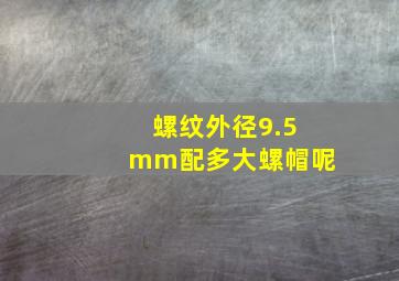 螺纹外径9.5mm配多大螺帽呢