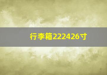 行李箱222426寸