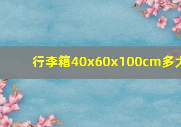 行李箱40x60x100cm多大