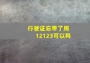 行驶证忘带了用12123可以吗