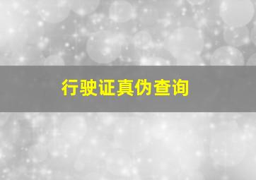 行驶证真伪查询