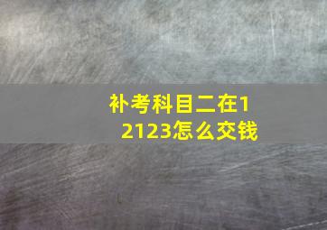 补考科目二在12123怎么交钱